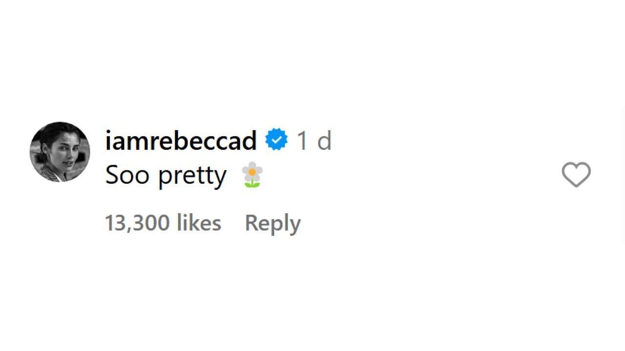 Rebecca Donaldson's comment on Alexandra Saint-Mleux's Instagram post (@iamrebeccad on Instagram)
